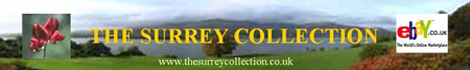 The Surrey Collection